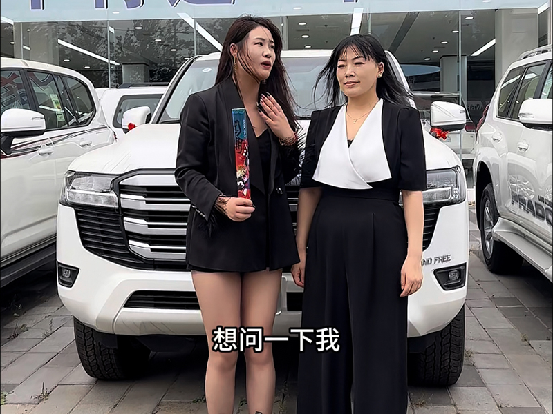 购车案例 
