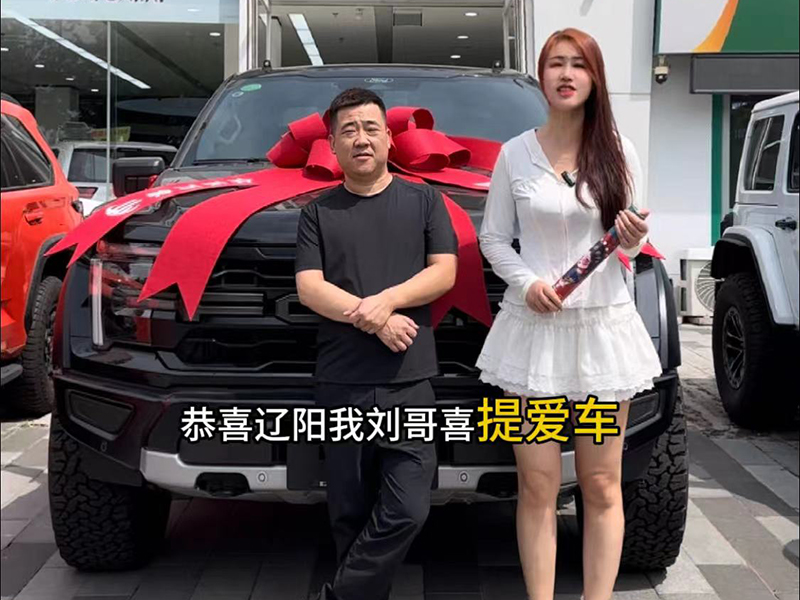 购车案例 