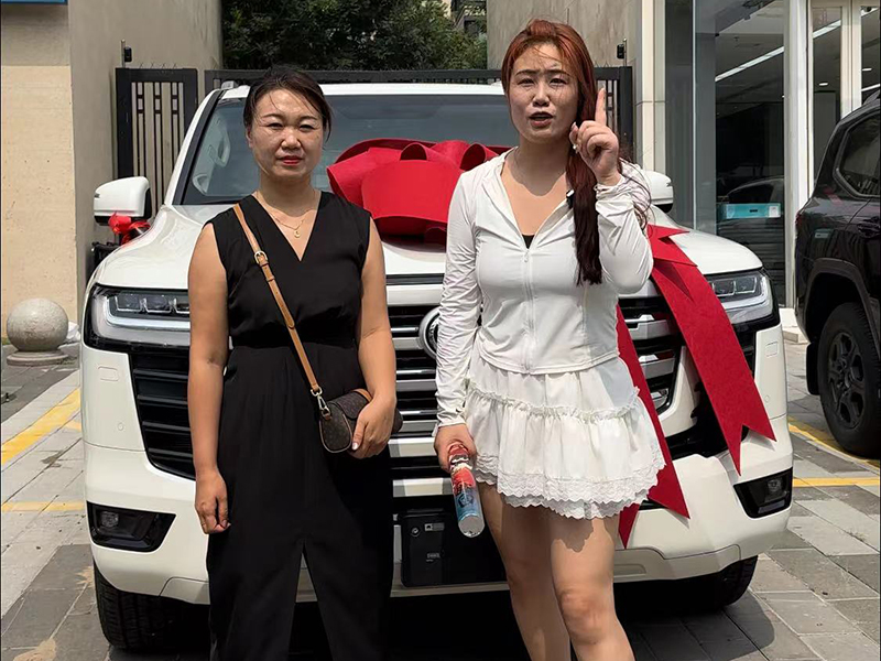 购车案例 