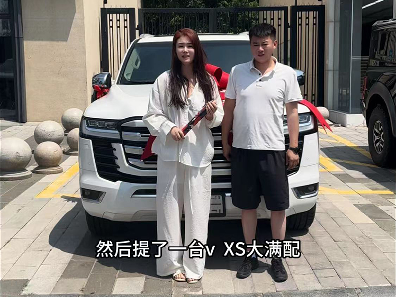 购车案例 